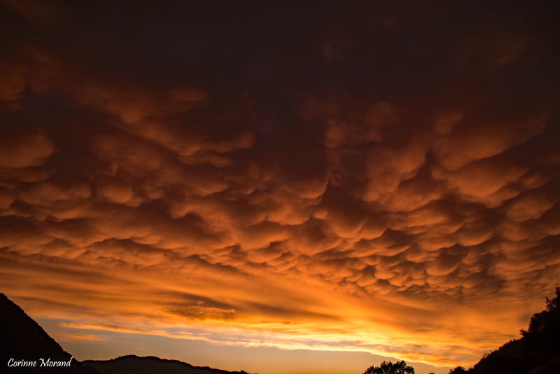 Retour du soleil après l'orage.