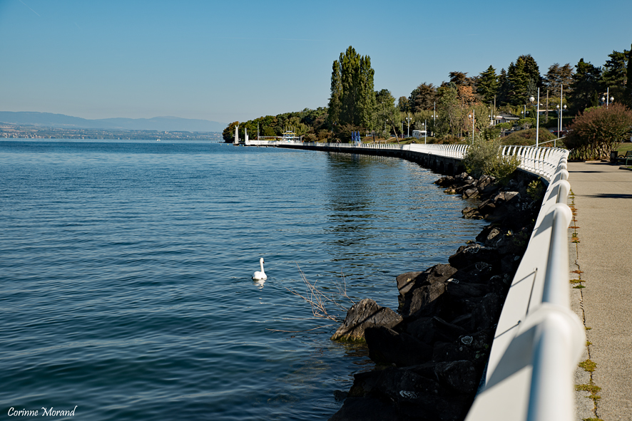 Port de Rives