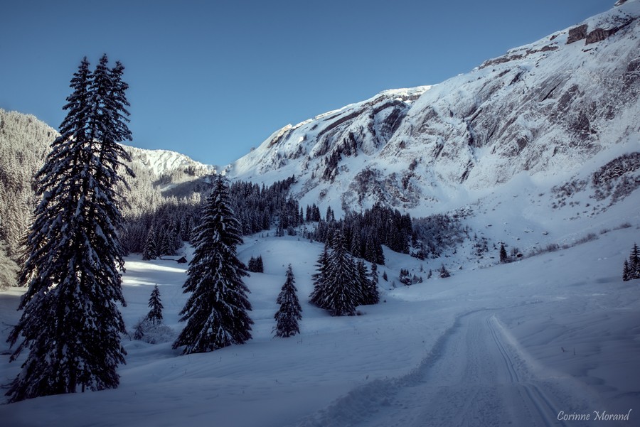 Les Terres Maudites en hiver