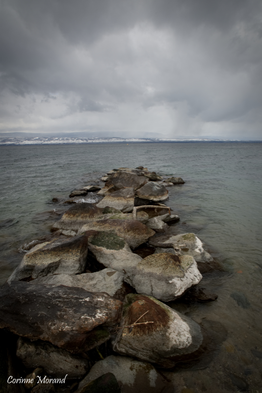 Au bord du Lac Léman