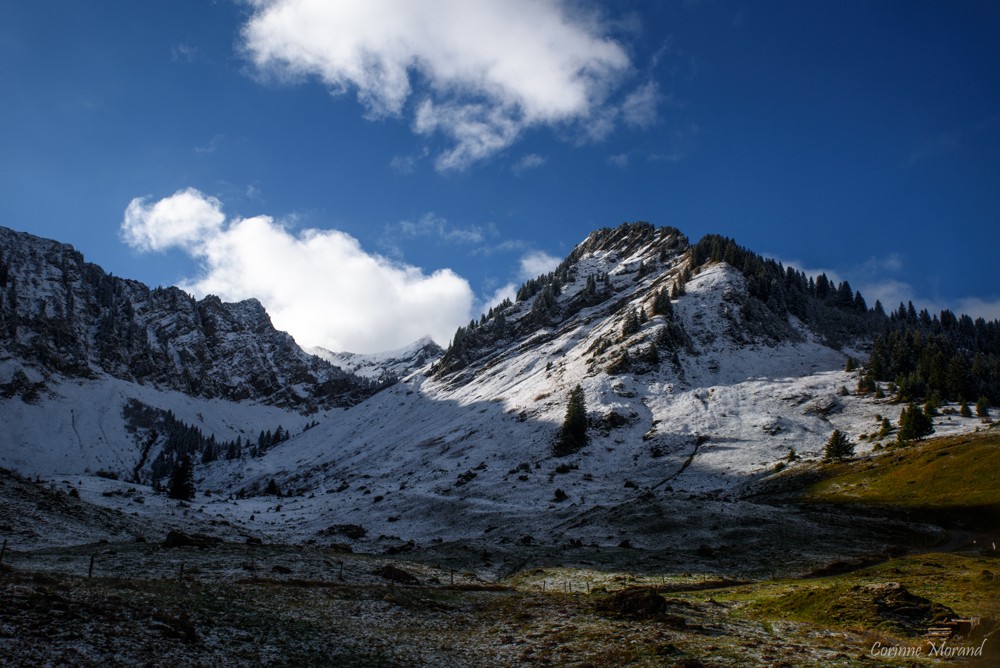 début d'hiver