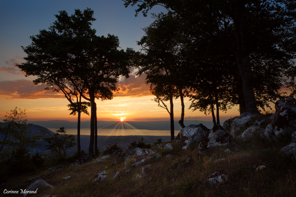 Rayons de soleil