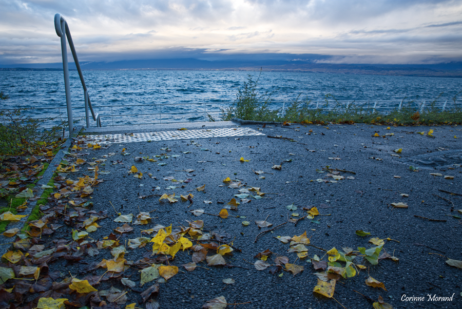 Belle ambiance sur le Lac Léman