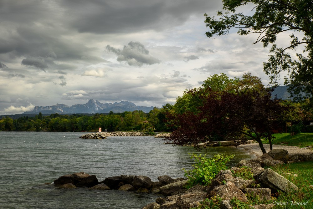 Bord du Lac Léman en automne 