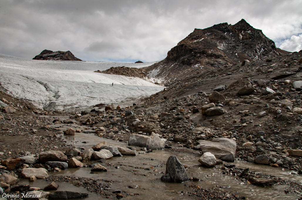 Le glacier de Rhêmes-Golette