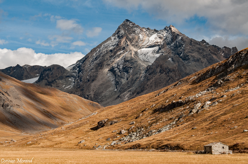 La Majestueuse Tsanteleina