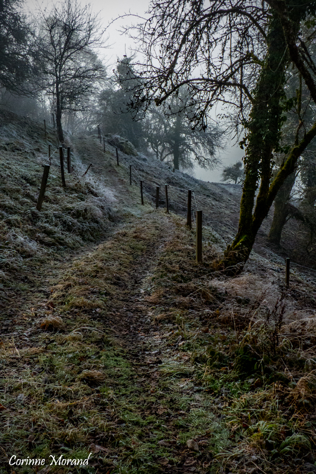 Le chemin pour l'enfer