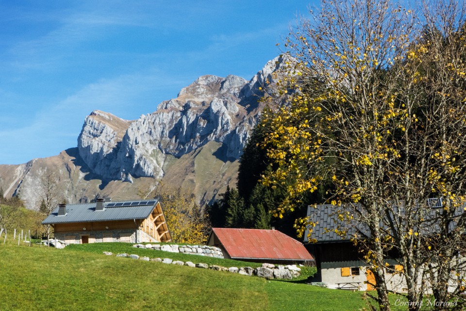 Les Cornettes de Bise aux couleurs de l'automne